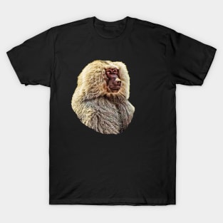 Baboon T-Shirt